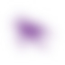 bug image